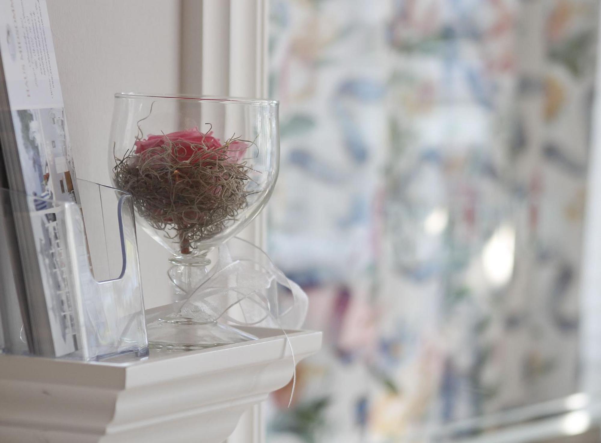 Haus Anholt Apartment Timmendorfer Strand Bagian luar foto